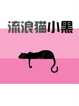 流浪猫小黑