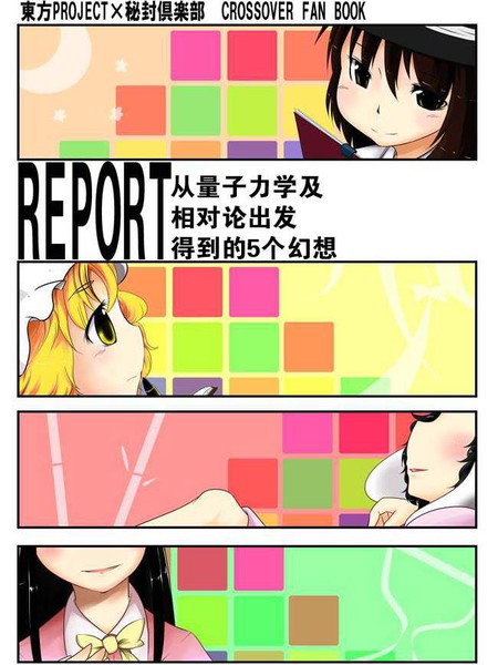 REPORT