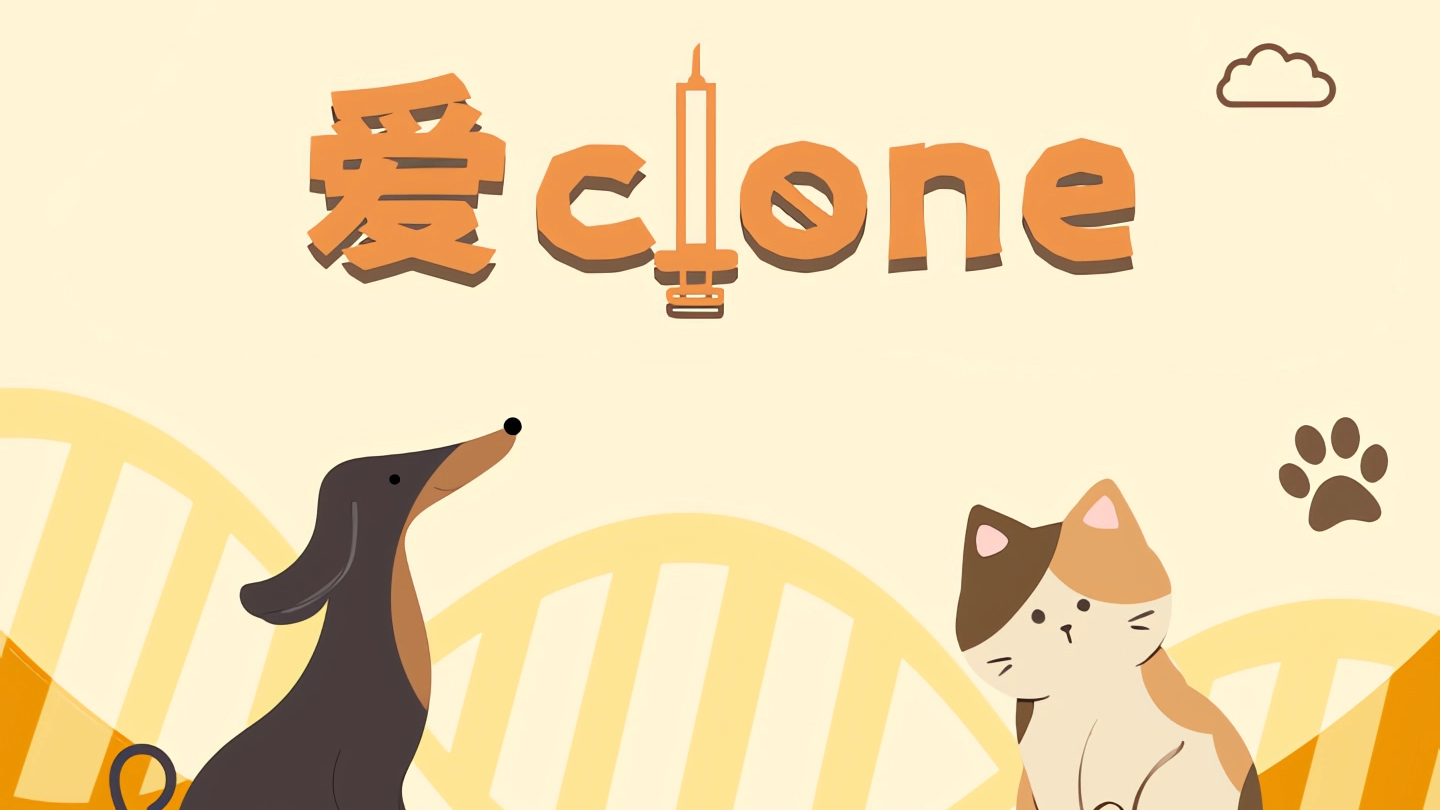 爱clone